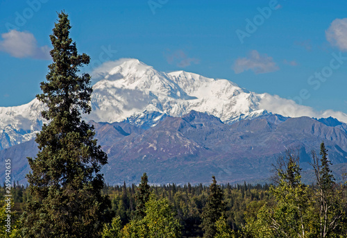 Denali Mountain (Mt. McKinley) snow covered rises above the landscape.