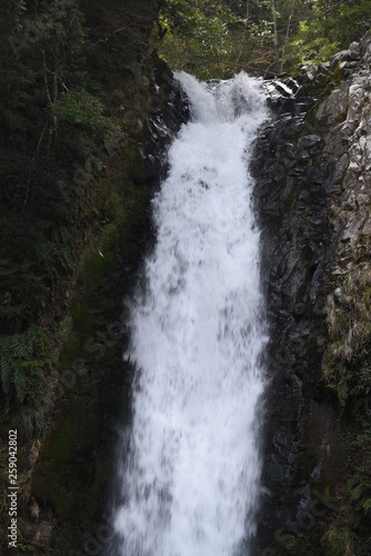 The famous waterfall of Japan.  Joren-fall  Izu city Shizuoka prefecture.
