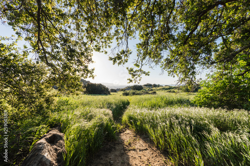 Santa Susana Pass State His...