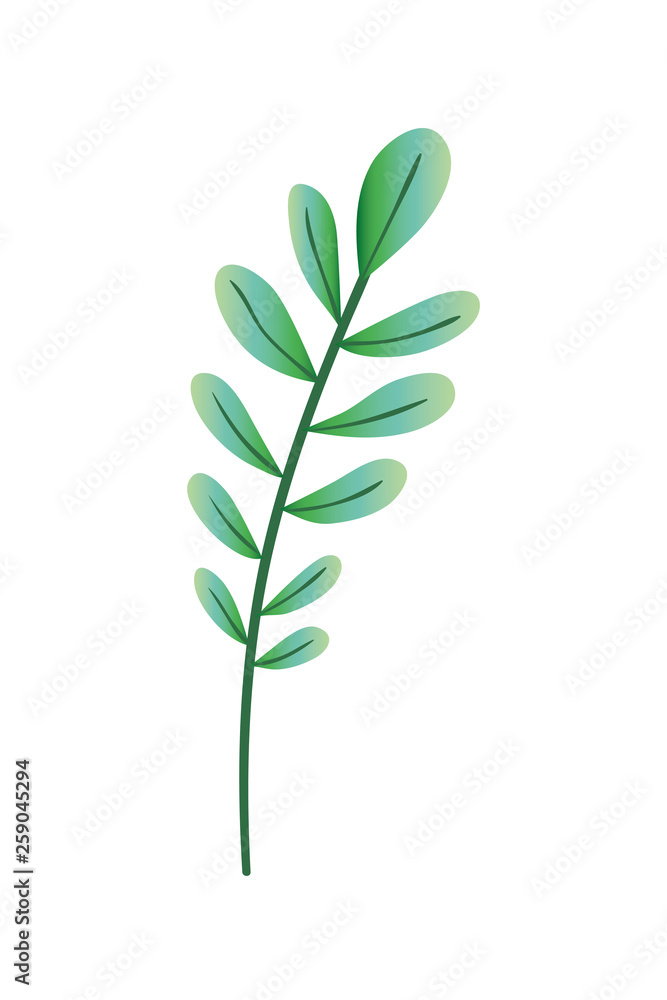 branch with leaf isolated icon branch with leaf isolated icon