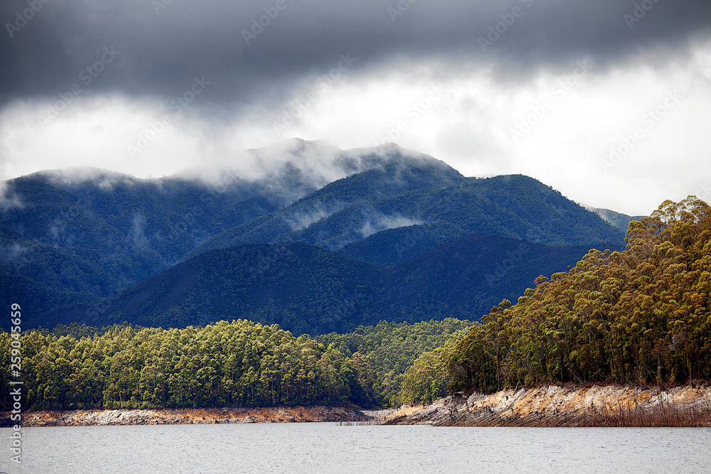 Views of Lake Burbury Tasmania