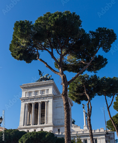 View of the right wing of the Quadrighe Terrace and the old pine, Rome, Italy photo