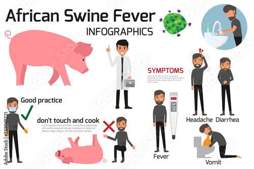 African Swine Fever virus (ASF) infographics elements. health and care vector illustration.