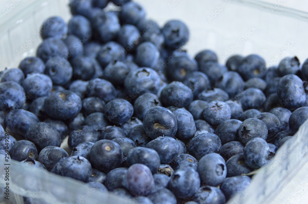 Fresh blueberries in plastic container Fresh blueberries in plastic container