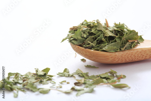 Image of Lemon Verbena