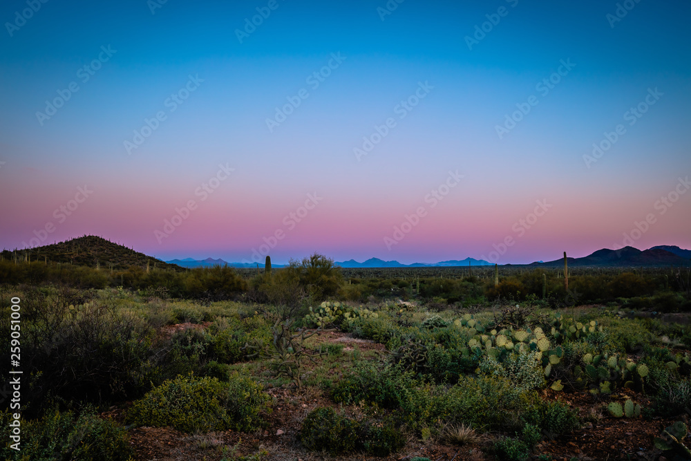 Saguaro Desert Sunrise