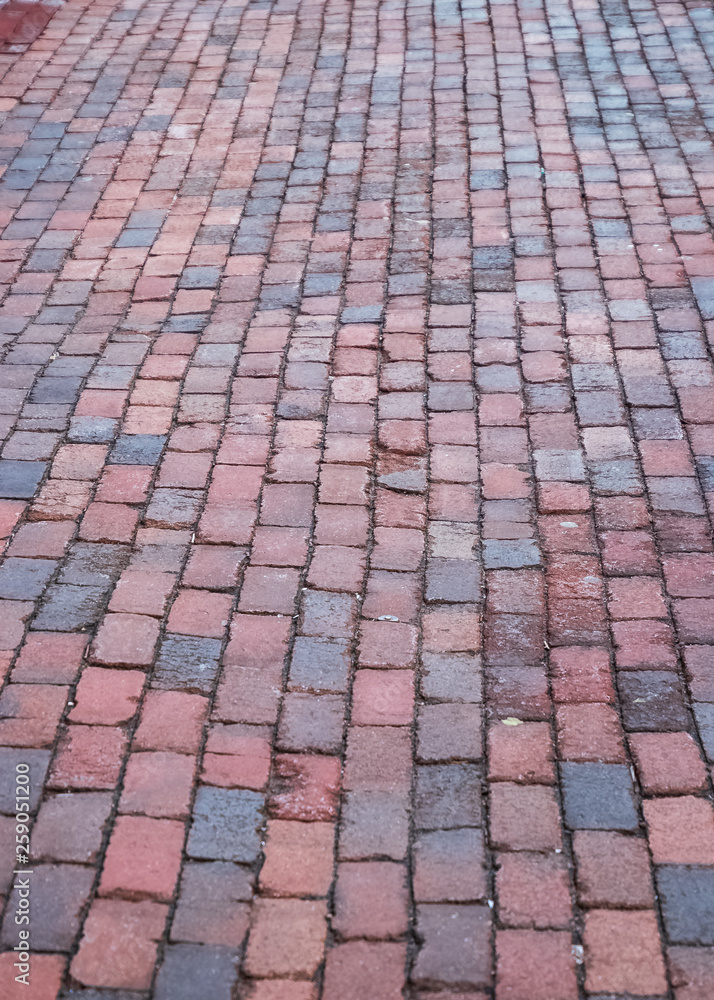 Brick sidewalk/walkway in Alexandria, Virginia Brick sidewalk/walkway in Alexandria, Virginia