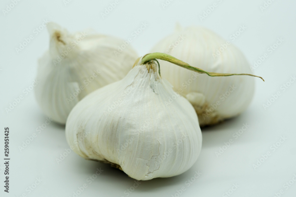 Obraz premium garlic isolated on white background with a sprout