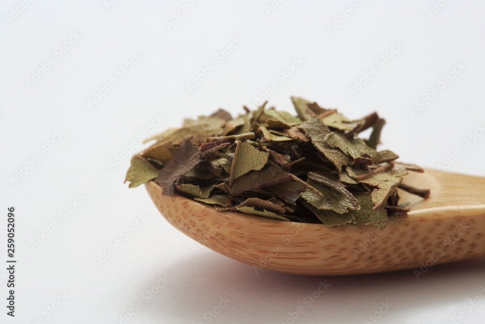 Image of Lemon Myrtle Image of Lemon Myrtle