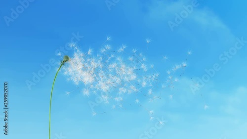 Dandelion Clouds 4K photo