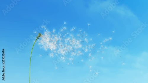 Dandelion Clouds 4K