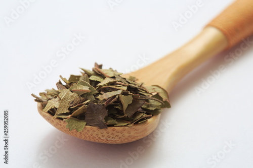 Image of Lemon Myrtle