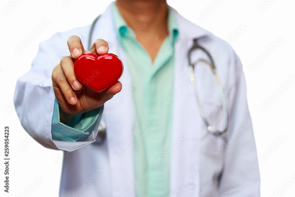 Close up male doctor with red heart isolated on white background Close up male doctor with red heart isolated on white background