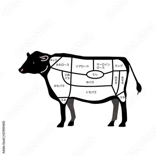 牛肉　部位　イラスト