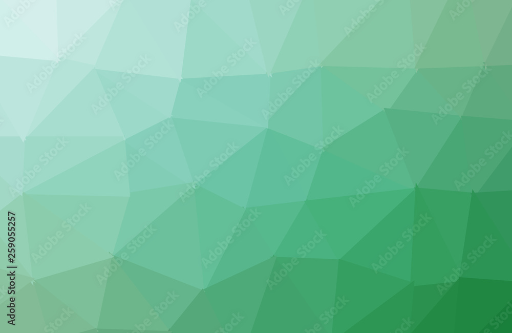 Light Green vector abstract polygonal template. Shining polygonal illustration, which consist of triangles. Completely new template for your banner. Light Green vector abstract polygonal template. Shining polygonal illustration, which consist of triangles. Completely new template for your banner.