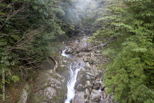 白谷雲水峡：屋久島 日本