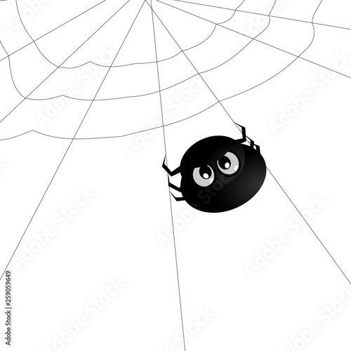 Spinne
