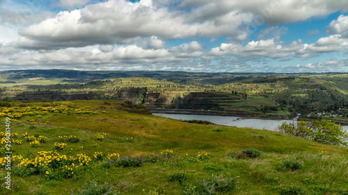 Fotografie Columbia River Gorge Spring, Rowena Crest Viewpoint & Tom McCall Point Trail, Or