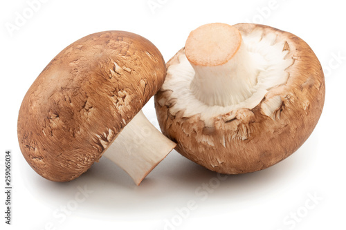 gourmet brown mushroom isolated on white background