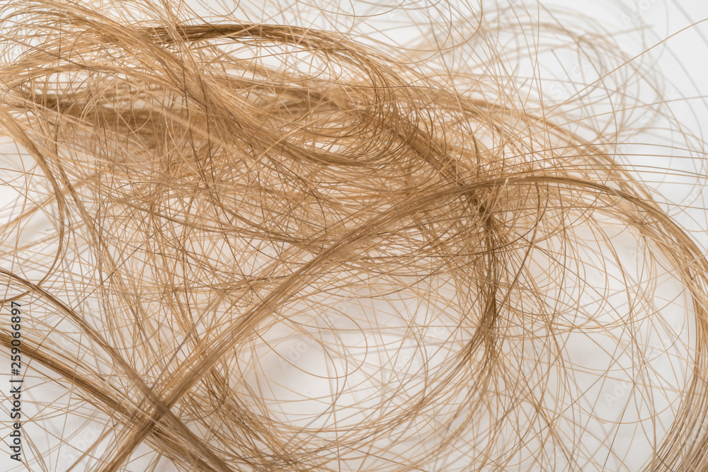 Pile of brown hair isolated on white Pile of brown hair isolated on white