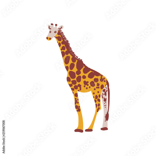 Giraffe Wild Exotic African Animal Vector Illustration