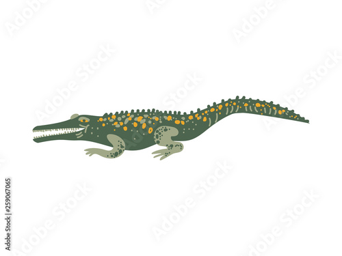 Crocodile Wild Exotic Reptile Animal Vector Illustration