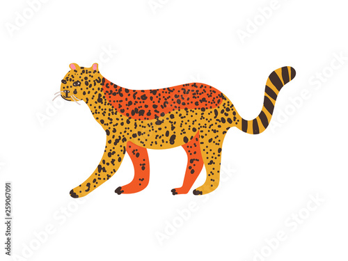 Fototapeta Naklejka Na Ścianę i Meble -  Cheetah, Guepard Wild Exotic African Animal Vector Illustration