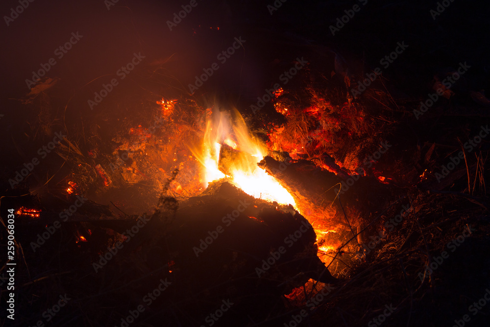 Bright sparkling coals with fire as background Bright sparkling coals with fire as background