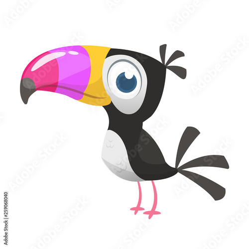 Toucan cartoon. Vector icon of toucan bird. Exotic colorful bird illustration