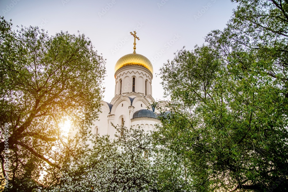 The dome of the Orthodox Church surrounded by flowering Apple trees 