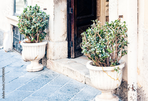 Plant in clay pot on the historic street of Taormina, Sicily, Italy, traditional architecture.