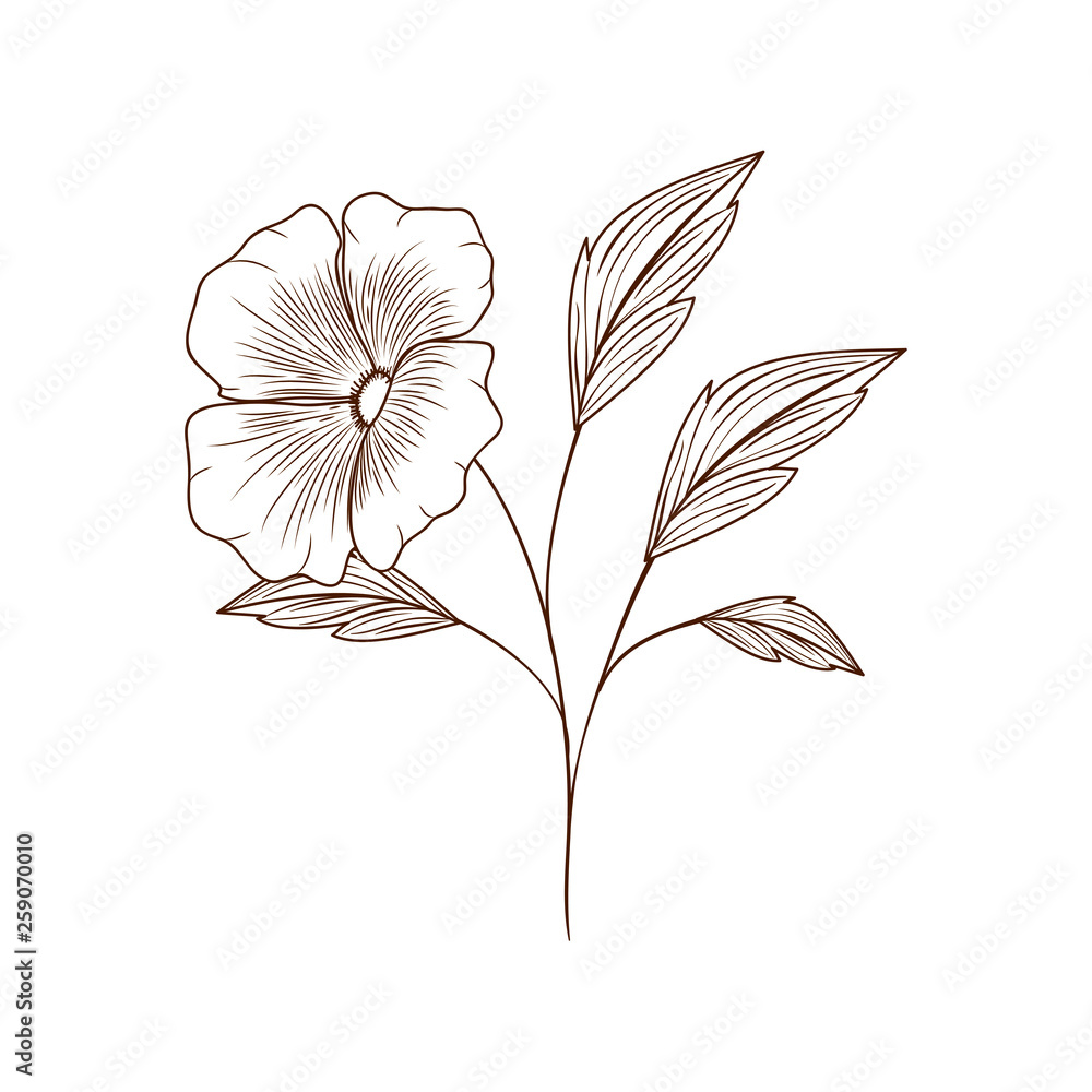 Fototapeta premium beautiful flowers with leafs isolated icon