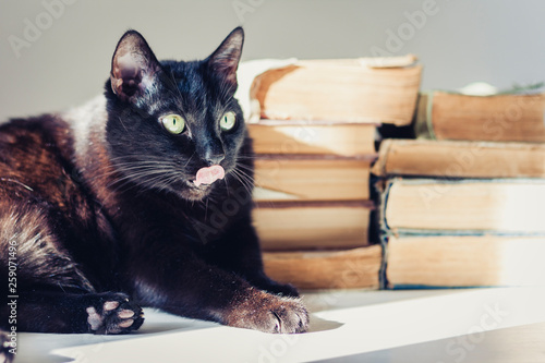 Black cat lying on white table, stack of old books on background.