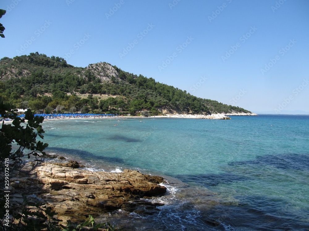 beautiful view of the coast with the beach and the mountain covered with forest