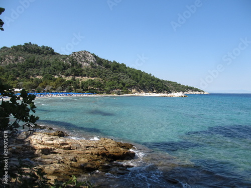 beautiful view of the coast with the beach and the mountain covered with forest