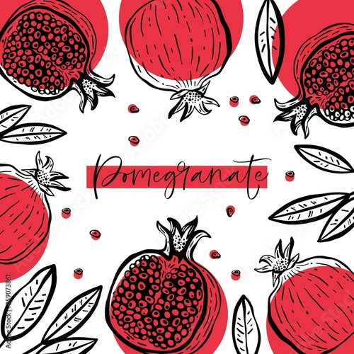 Hand drawn pomegranate composition with fruit and plant. For cooking, cosmetic package design. Vector illustration.