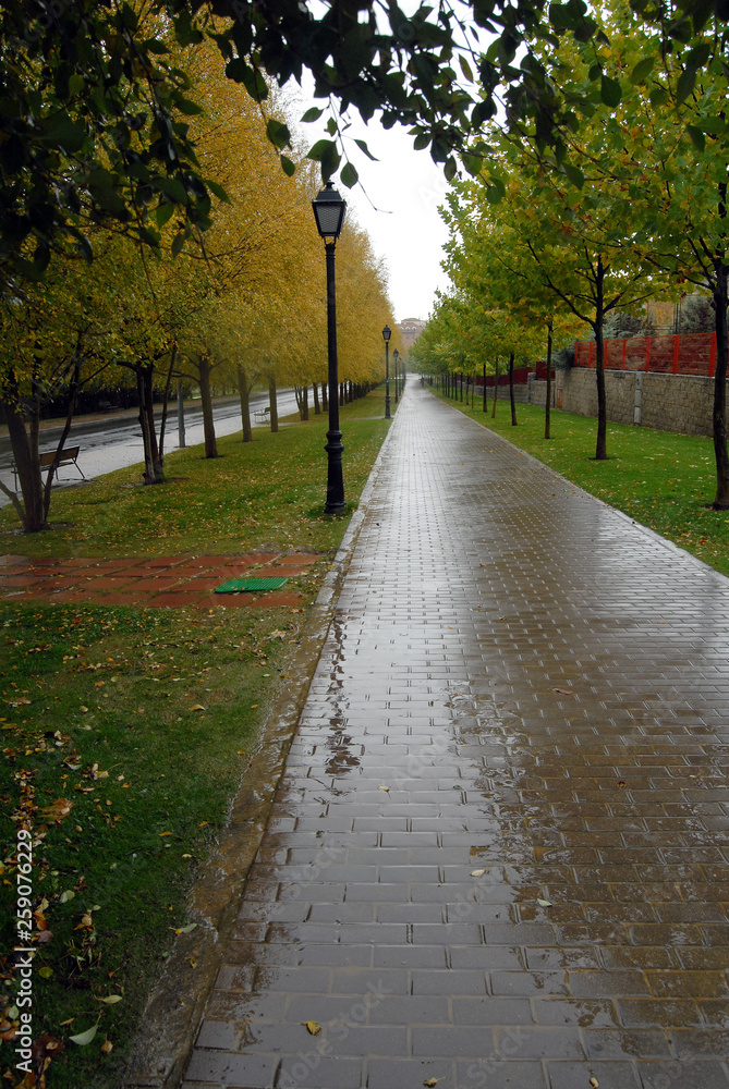 Obraz premium Paisajes en la naturaleza