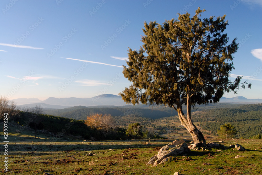 Fototapeta premium Paisajes en la naturaleza