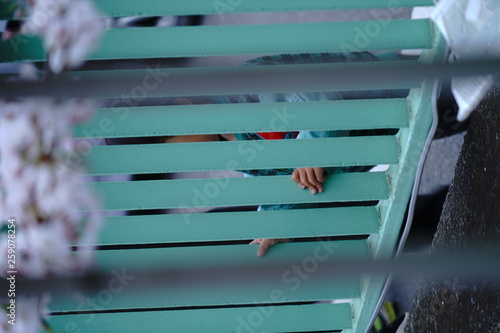 川辺で桜の花を手すり越しに眺める幼い子供