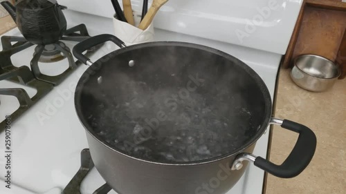 Home cooking - Boiling clean water in non stick large pot on gas stove prepared for precooking vegetables or blanching other food. photo