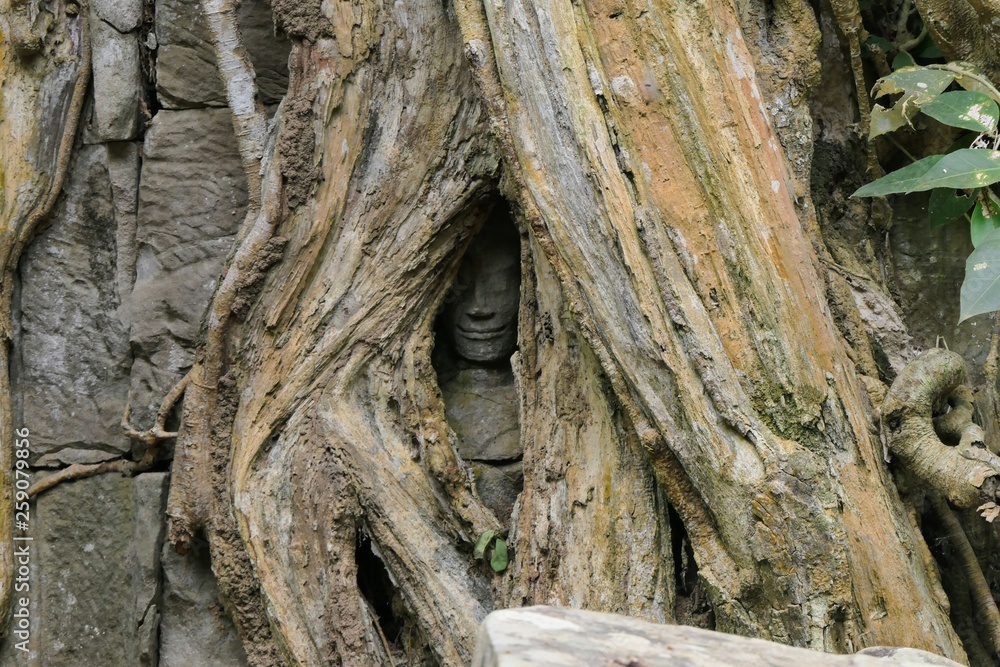 statue in a tree