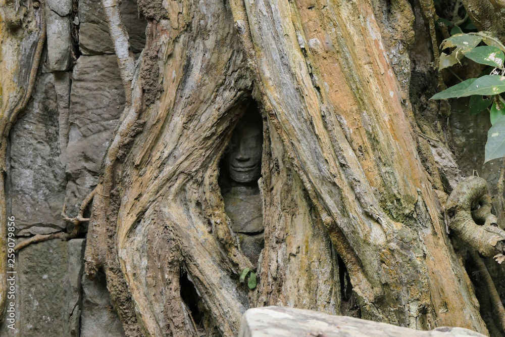 statue in a tree statue in a tree