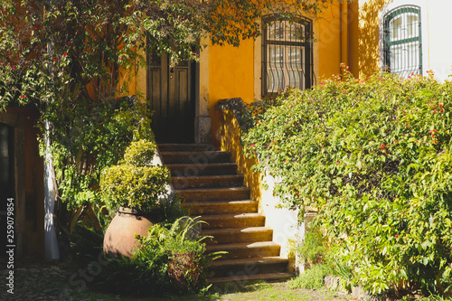 Cozy courtyard with a yellow house and a garden. Lissobon  Portugal. Cropped shot  horizontal  free space  nobody. The concept of urban landscaping.