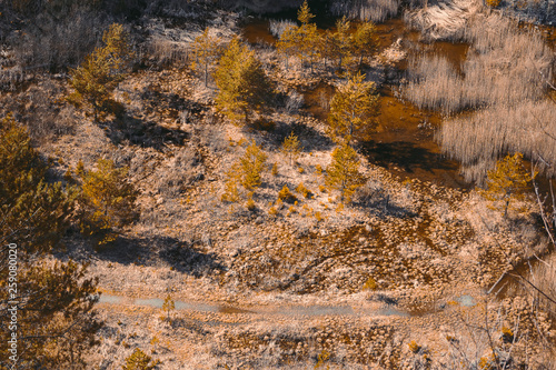Aerial view to swamped quarry with high dry grass, trees and pond, Czech republic, teal orange colored