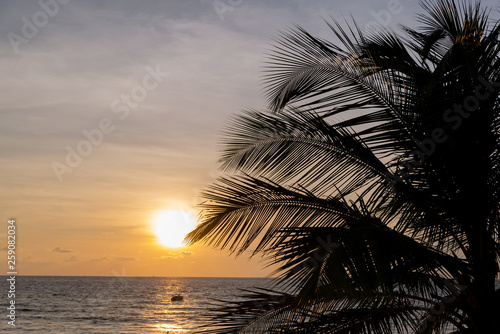 sunset on the sea beach with palm trees