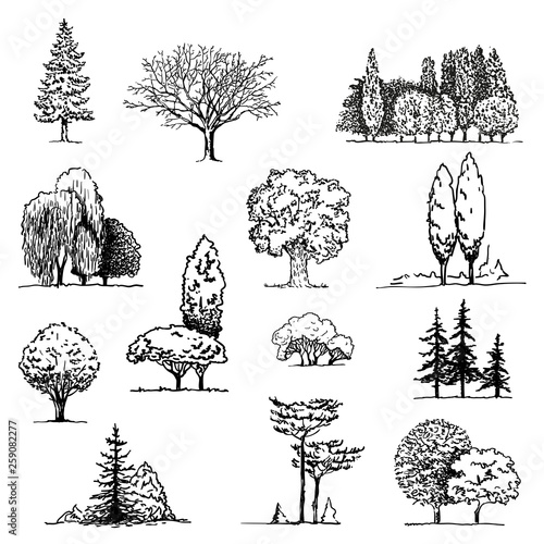 Trees sketch set, hand drawing graphic forest, isolated vector illustration, silhouette elements black and white