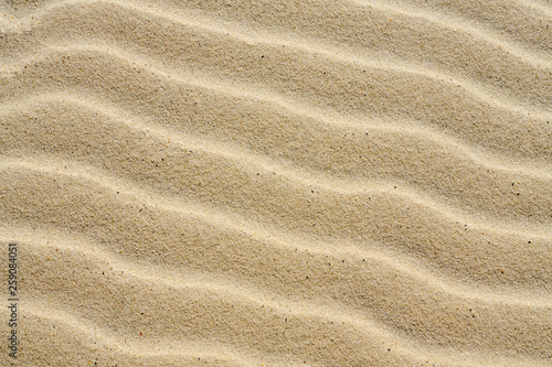 Textured background of beautiful wavy yellow sea sand.