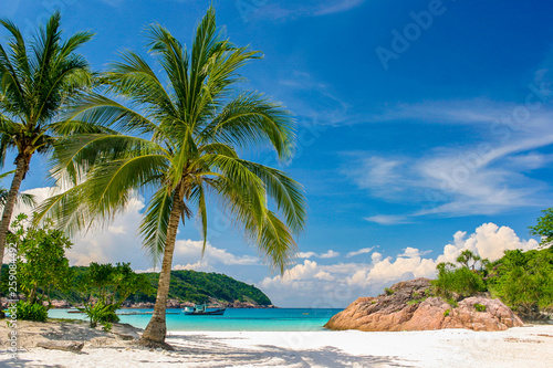 Beautiful tropical beach with pur white and blue sky and nobody or crowded tourist to fight for an inch of sun light