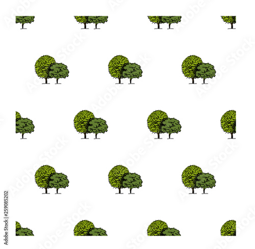 Seamless pattern. Trees with green foliage isolated on white background. Ideal for textile print and wallpapers.