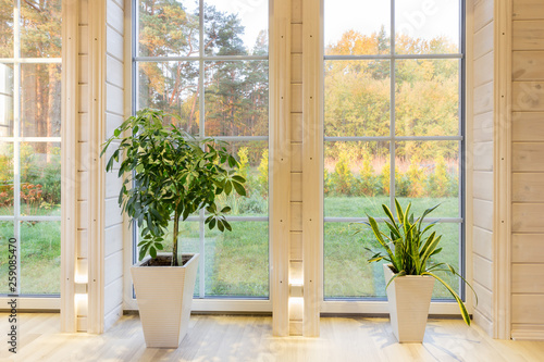 Bright photo studio interior with big window, high ceiling, white wooden floor